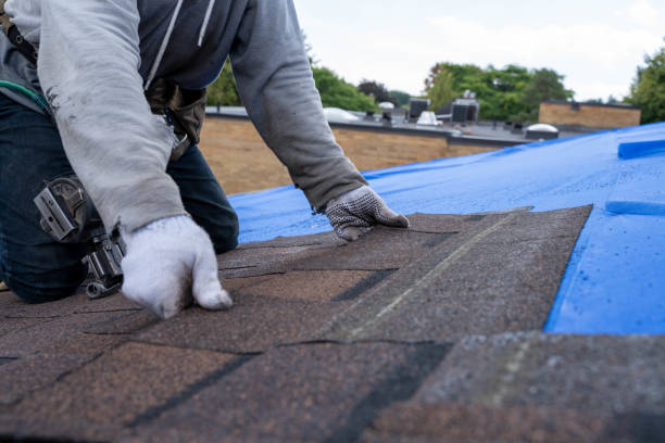 Best Best Roofing Contractors  in Grizzly Flats, CA