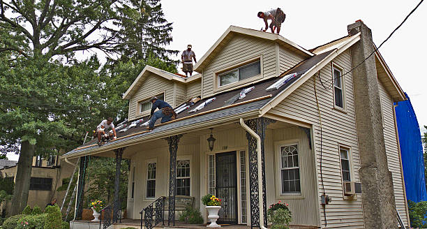 Best Shingle Roofing Installation  in Grizzly Flats, CA