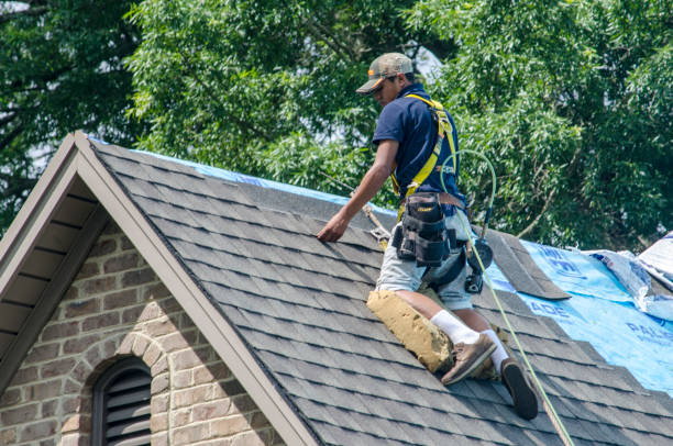 Best Roof Inspection Near Me  in Grizzly Flats, CA